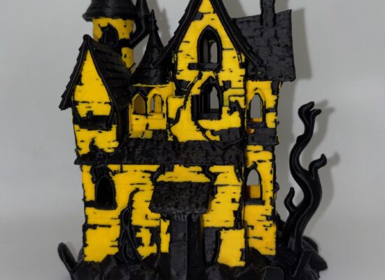 ein verhextes Haus, FDM 2farbig